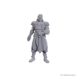 DND UNPAINTED MINIS SPECIAL EDITION BALDUR'S GATE 3 - JAHEIRA & HALSIN