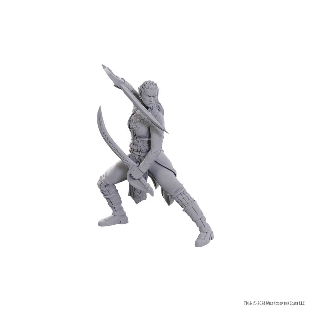DND UNPAINTED MINIS SPECIAL EDITION BALDUR'S GATE 3 - JAHEIRA & HALSIN