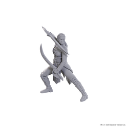 DND UNPAINTED MINIS SPECIAL EDITION BALDUR'S GATE 3 - JAHEIRA & HALSIN