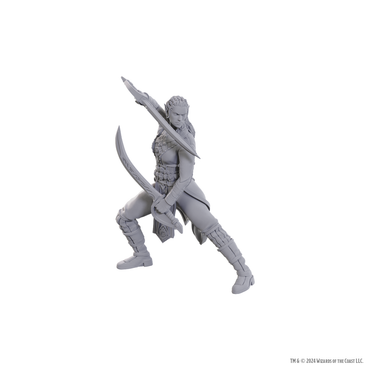 DND UNPAINTED MINIS SPECIAL EDITION BALDUR'S GATE 3 - JAHEIRA & HALSIN