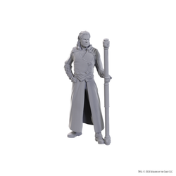 DND UNPAINTED MINIS SPECIAL EDITION BALDUR'S GATE 3 - GALE & ASTARION