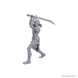 DND UNPAINTED MINIS SPECIAL EDITION BALDUR'S GATE 3 - LAE'ZEL & SHADOWHEART