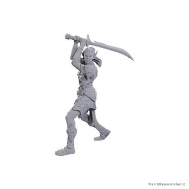 DND UNPAINTED MINIS SPECIAL EDITION BALDUR'S GATE 3 - LAE'ZEL & SHADOWHEART