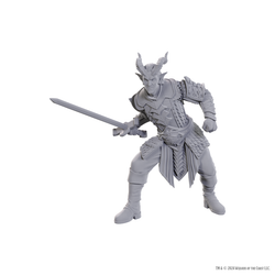 DND UNPAINTED MINIS SPECIAL EDITION BALDUR'S GATE 3 - ULDER RAVENGARD & ZEVLOR