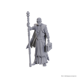 DND UNPAINTED MINIS SPECIAL EDITION BALDUR'S GATE 3 - VOLO & WITHERS