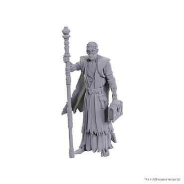 DND UNPAINTED MINIS SPECIAL EDITION BALDUR'S GATE 3 - VOLO & WITHERS