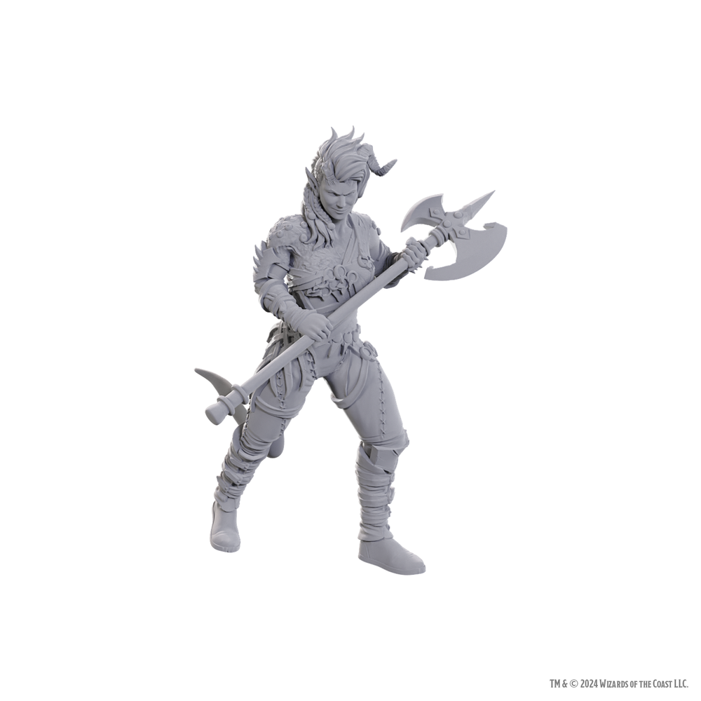 DND UNPAINTED MINIS SPECIAL EDITION BALDUR'S GATE 3 - WYLL & KARLACH
