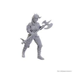 DND UNPAINTED MINIS SPECIAL EDITION BALDUR'S GATE 3 - WYLL & KARLACH
