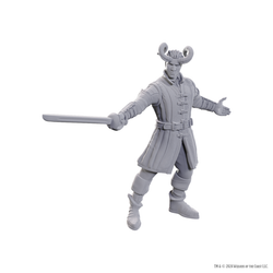 DND UNPAINTED MINIS SPECIAL EDITION BALDUR'S GATE 3 - WYLL & KARLACH