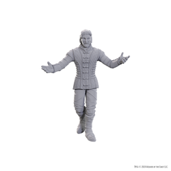 DND UNPAINTED MINIS SPECIAL EDITION BALDUR'S GATE 3 - SAREVOK ANCHEV & RAPHAEL