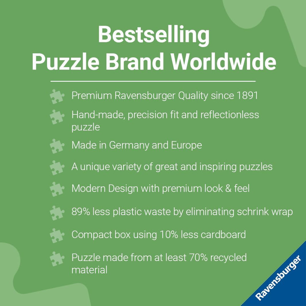 ONE PIECE PUZZLE 300PC