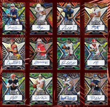LEAF EXOTIC FOOTBALL 2022