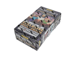 PANINI MINECRAFT 2025