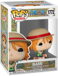 #1772 Nami Crying
