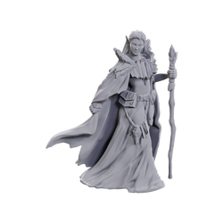 DND UNPAINTED MINIS LIMITED EDITION 50TH ANNIVERSARY ELVES