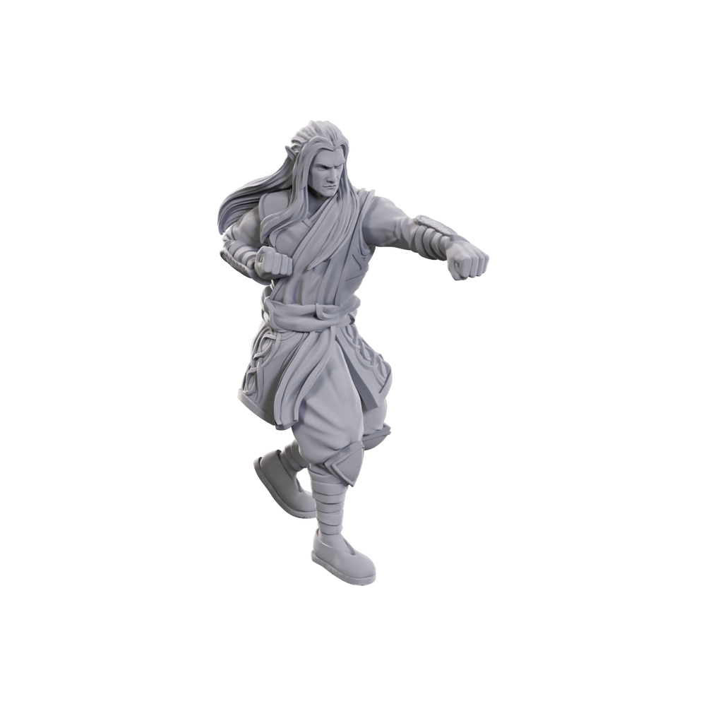 DND UNPAINTED MINIS WV24 ARCHDRUID & MARTIAL ARTS ADEPT