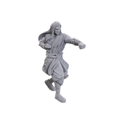 DND UNPAINTED MINIS WV24 ARCHDRUID & MARTIAL ARTS ADEPT