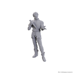 DND UNPAINTED MINIS SPECIAL EDITION BALDUR'S GATE 3 - GALE & ASTARION